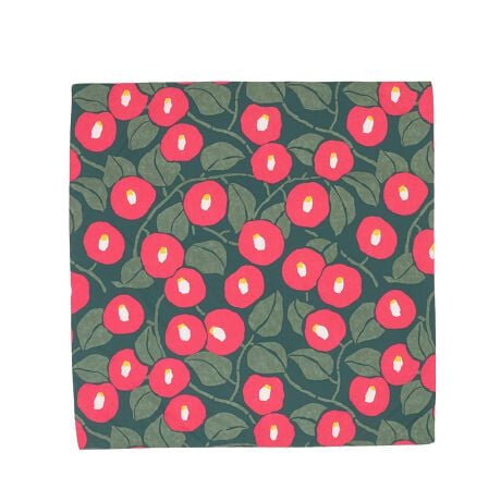 [^:sbn01-wasou0099]GRŃIVȁwANAhbviaquadropjx̕C~IVŕ֗ȘaACeEC~łB炩ł炳ƂG̐nɂ͗VѐSӂfUC{Ă܂Bnɂ͝H{ĂA\ʂ̐͂܂B͒JɎdグꂽAM̍{łBło̓̂g̍Aig̃GRobOƂĂ߂łByӎz̏i͕C~PiɂȂ܂BR͕tv܂B