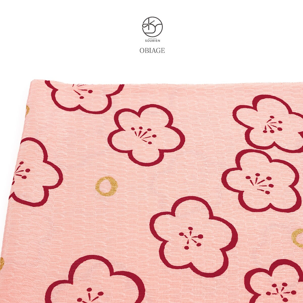 [}C]їg /\ErGiSOUBIENj sN