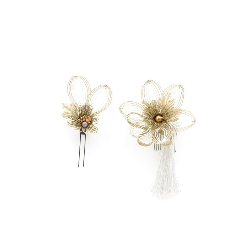 [}C] 2_Zbg /\ErGiSOUBIENj zCg