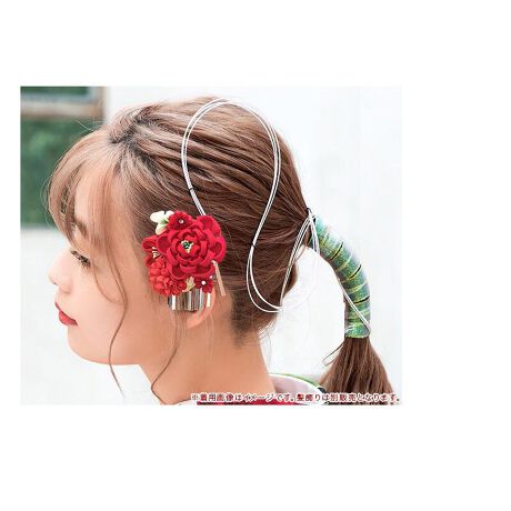 [^:sbn01-kaz0091]wAAWIRɎgb̐̃wAAW②̃bsOɎg鐅łB92Z`̐̎O{ZbgƂȂ܂B́uĴ̂\vu悯vulƐlԁv̂R̈ӖAт͈Έقǋ΂̂ƌĂ܂B܂Ƃ߂ɊtA莝̔ƍ킹ăwAAWy߂܂B܂AяƂĂpƂł܂BbsOł鐅́Am̃bsO⃊{̂悤ɉOƂ̂Ƃ͈ႢAiޘa̐܌^␅̐F{A\̏ɂėprgĂ܂B̌ѕ͂낢Ƃ܂AꂼɈӖAɂ͊ȒPɂقǂȂ`Ɍ񂾂̂Ƃāuѐ؂vu킶сvӂ킵ƂĂ܂B΂ɁuԌсv܂́u傤сv́AȒPɂقǂĉxłђ邱ƂAoYjȂǉxĂ΂jɗp܂B͐PiƂȂ܂Bfgp͕̔ʔɂȂ܂̂ŁA\߂B