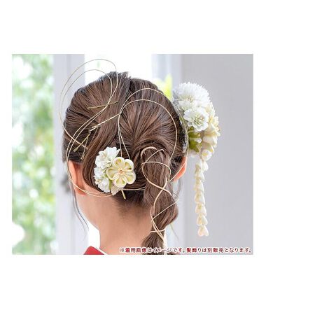 [^:sbn01-kaz0091]wAAWIRɎgb̐̃wAAW②̃bsOɎg鐅łB92Z`̐̎O{ZbgƂȂ܂B́uĴ̂\vu悯vulƐlԁv̂R̈ӖAт͈Έقǋ΂̂ƌĂ܂B܂Ƃ߂ɊtA莝̔ƍ킹ăwAAWy߂܂B܂AяƂĂpƂł܂BbsOł鐅́Am̃bsO⃊{̂悤ɉOƂ̂Ƃ͈ႢAiޘa̐܌^␅̐F{A\̏ɂėprgĂ܂B̌ѕ͂낢Ƃ܂AꂼɈӖAɂ͊ȒPɂقǂȂ`Ɍ񂾂̂Ƃāuѐ؂vu킶сvӂ킵ƂĂ܂B΂ɁuԌсv܂́u傤сv́AȒPɂقǂĉxłђ邱ƂAoYjȂǉxĂ΂jɗp܂B͐PiƂȂ܂Bfgp͕̔ʔɂȂ܂̂ŁA\߂B