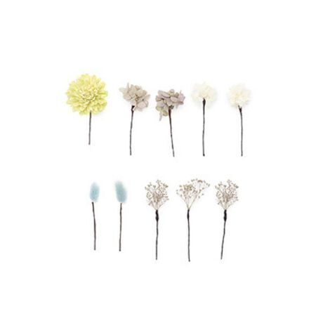 [^:sbn01-kaz0123]UюpA߂ɂ߂ȃhCt[̔10_ZbgãwAX^CʂAhCt[̔10_ZbgłBg[R[f͋CłBl⌋Ȃǂ̐UAƎ̌юpAĂ̗߂Ȃǂɂ悭łB肰ȂwAAWÃIVɍ܂B͊Ɉԋ߂̑iȂ̂ŁAƂĂdvȃANZT[łBɂȂ钅̕⏬͋̕Cɂ킹ĂIтƒȂ܂Ƃ܂܂B̔Aʂȓ̒pɂЂ𗧂ĂBԂ̐F`Ɍ̍܂BTCY͖ڈɂȂ܂̂ŗ\߂BF̑fނɉԂ̐FFڂ肷\܂BVRfނgpčĂ邽߁A@ׂȏiƂȂ܂B^ԓOĂ܂Ƃ܂̂ŁA舵ɂ͂ӂB