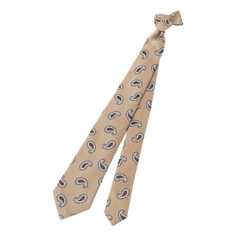 [^ԁFJ1816502__]2025 Spring&Summer item AvailableyCY[őlȕ͋ColN^CBOCbVȃg[̐FڂłB匕@9cmZ~{gVFCvZ~{gVFCvƌĂ΂匕ɌăC{ĝ悤ɏ_炩J[u``ɂA̓IŗDȃmbgƃfBv₷̂łB