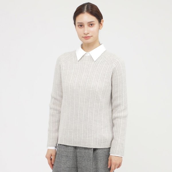 eclat掲載】スーパージーロン プルオーバー(Vネック) | ポール