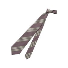 アースカラーレジメンタルタイ