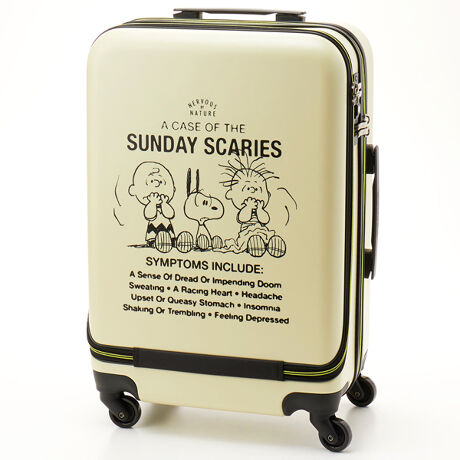 [^:PN-045]Xk[s[`[[uEȂǂfUCꂽVvł킢X[cP[XoInɂ̓Xk[s[̗̑pAו܂łfUCɂȂĂ܂Lwłg܂Ԃ͌Ă܂B̃o[XChJĂB