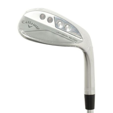 ウェッジ JAWS RAW クローム 58-10 S-GRIND Dynamic Gold S200 