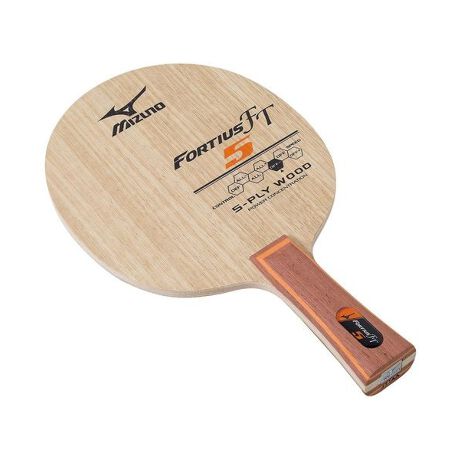 [^ԁF58205451]FORTIUS@FTDNA󂯌p5Bn[hŋB{싅iB[J[iԁF83GTT60554