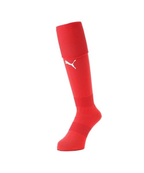 [}C]XgbLO LIGA XgbLO/v[}iPUMAj v[} bh