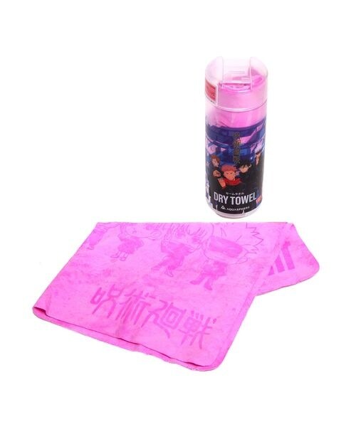 [}C]XC~O^I WWcJCZ AQUASPHERE DRYTOWEL ZC^I/̑̃uhiotherj PNK