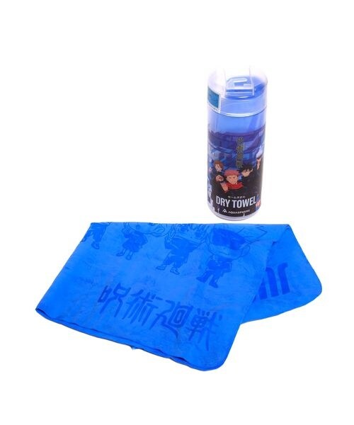 [}C]XC~O^I WWcJCZ AQUASPHERE DRYTOWEL ZC^I/̑̃uhiotherj BLU