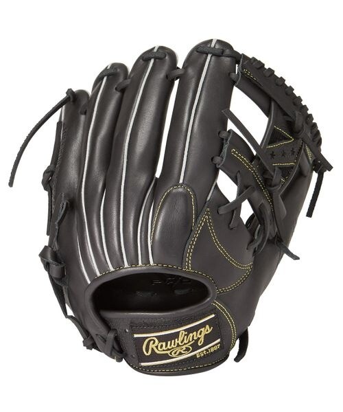 硬式グラブ 硬式 PRO PREFERRED WIZARD #02(プロプリファード 