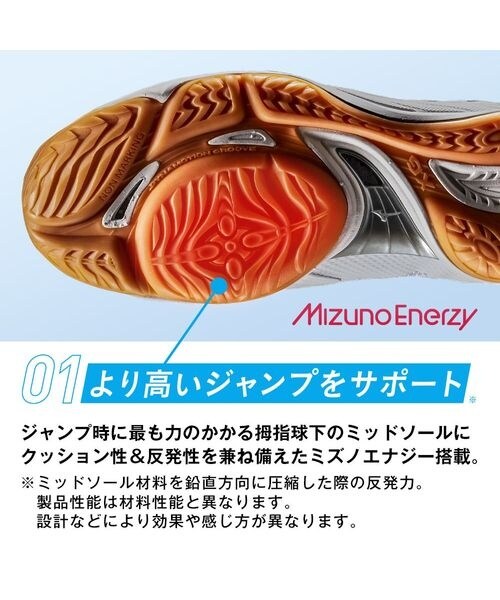 シューズ MIZUNO FLY ミズノフライ｜Alpen Online