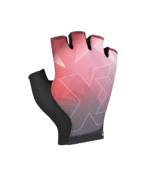 [}C]O[u KINETIXX LEDRI x[^ubN L/̑̃uhiotherj x[^ubN