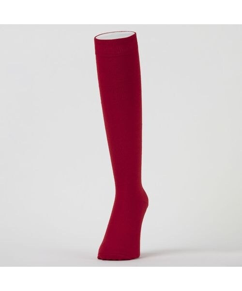 ソックス カラーソックス2足組レッド19-21cm | エスエーギア(sa gear 