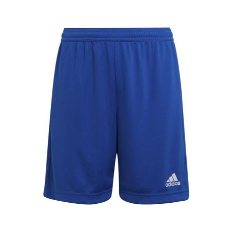 [^ԁF67868083]̃WjApAfB_X Entrada 22 TbJ[V[ćAfC[Ɋ􂷂ACeBhCőu₩ȒSnL[vAEROREADYeNmW[̗pAԂ̃N[ȃfUCBh[R[h̕tLk̃EGXgAĝɃtBbgĒhBvX`bNp[ڎwAfB_X̎g݂̈J^`ɂA100TCNfނōꂽACeBg^́^EGXg100^95105^4955^4753110^105115^5359^4955120^115125^5763^5157130^125135^6167^5359140^135145^6572^5462150^145155^7078^5866160^155165^7684^6270[J[iԁFKGO51 HG6291