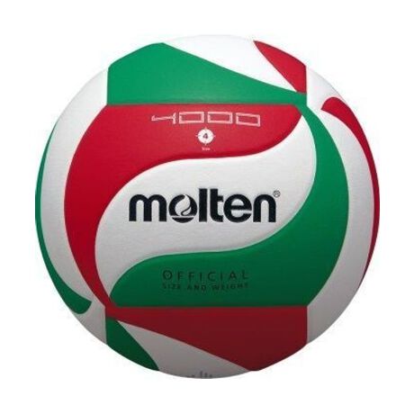 [^ԁF29271376]\tgőϊ̂\̗pKf[J[iԁFV4M4000