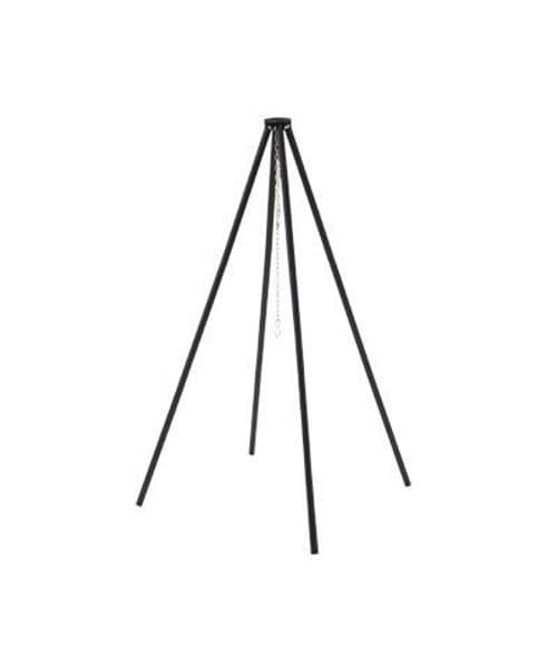 [}C]OE ANZT[ ACANg|bh/SXilogosj D