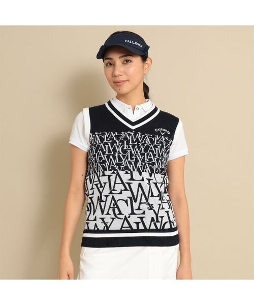 [}C]xXg SWJ[hjbgxXg/̑̃uhiotherj lCr[