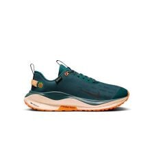 ナイキ(NIKE)の一般ランナー ナイキ リアクトX インフィニティ ラン 4 GTX