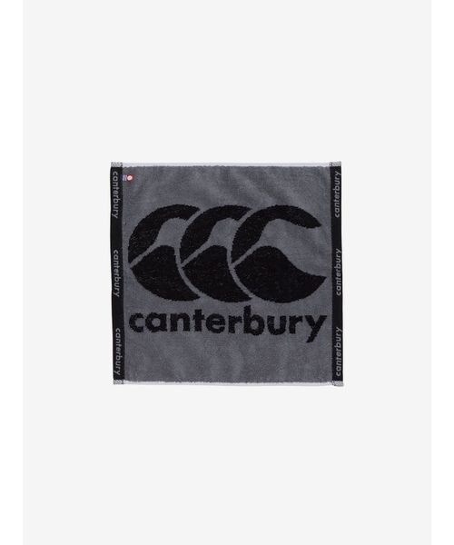 [}C]̑EFAANZT[ FACE TOWEL (tFCX^I)/̑̃uhiotherj 17