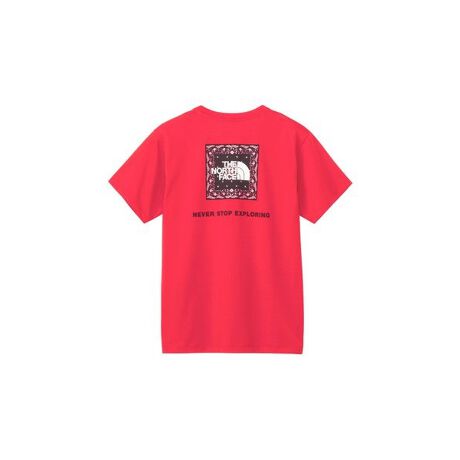 [^ԁF0289NTW3244602]̂郊TCN|GXeƕ̂悢RbgaAjbgfނ̔TVcBRbgCNȐnŁAȂ₩ȒSnłBo_iC[WñXNGASwʂɔzuĂ܂B[J[iԁFNTW32446 HI