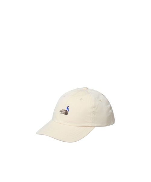 [}C]̑EFAANZT[ Kids Small Logo Cap (X[SLbv(LbY))/UEm[XEtFCXiTHE NORTH FACEj GG