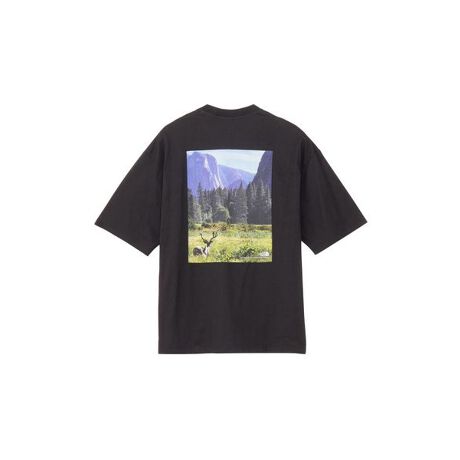 [^ԁF0289NT3243603]I[KjbNRbggpArbOVGbgTVcBɍׂ40Ԏ̎2{Q荇킹1{ɂŕ҂񂾐n͓KxȌ݂ƃnA߂ׂG肪悢̂łBUVPA(UPF15-30AOJbg85ȏ)@\tBn[th[glr[ȂǁAZ~e̓IȕĩOtBbNwʂɔzuBJWAȒȂy߂1łB[J[iԁFNT32436 K