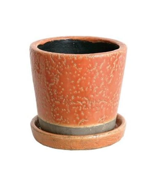 [EL[ȆObY COLOR GLAZED POT ORANGE (J[ O[Yh D