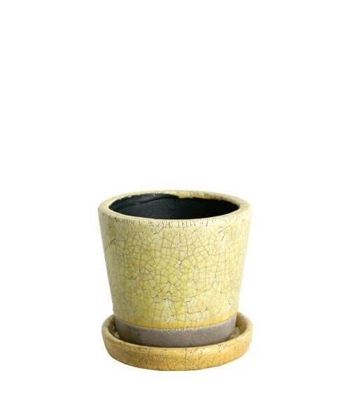 [EL[ȆObY COLOR GLAZED POT YELLOW (J[ O[Yh D