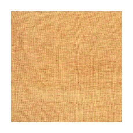 [^ԁF59947531]̖̒ʂAlXȗprɎg唻NXBCh100Ȃł͂̂ƂDƁAfpȎ炬Ă܂B▭ȃjAXJ[̔FA`CX̂Bꖇ̕zL閳̉\AS䂭܂ŊyłBTCY :c:2250mm :1500mm[J[iԁFS359-36F