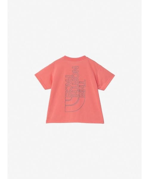 [}C]̑EFAANZT[ T S^S Big Root Tee (gh[V[gX[urbO[/UEm[XEtFCXiTHE NORTH FACEj FC