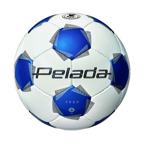 [^ԁF84307602].[J[iԁFF4K3000-WB