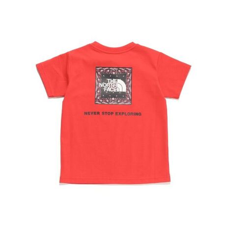 [^ԁF0289NTT3254606]TCN|GXeƕ̂悢RbgaAjbgfނ̔TVc̃gh[fBRbgCNȐnŁAȂ₩ȒSnłBUVPA(UPF15-30AOJbg85ȏ)@\tBo_iC[WñXNGASwʂɔzuBlʃfUCŁAeqł̃R[fBl[gy߂ACełB[J[iԁFNTT32546 HI