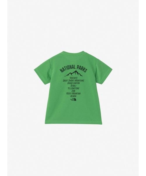 [}C]̑EFAANZT[ T S^S TNF Bug Free Graphic Tee (gh[V/UEm[XEtFCXiTHE NORTH FACEj PE