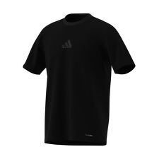 Tシャツ M PHOTO ポリ Tシャツ