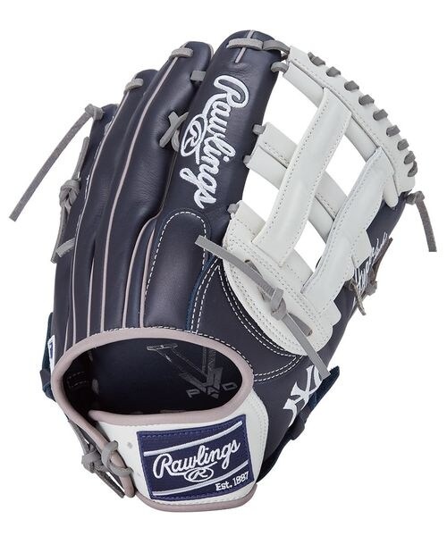 Rawlings 軟式用グローブ 糸井嘉男モデル 楽天市場】限定 軟式 カラー グラブ 糸井嘉男モデル 2022 NPB
