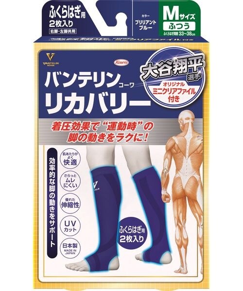 [}C]̑PApi oeR[Jo[tNnM BB/̑̃uhiotherj