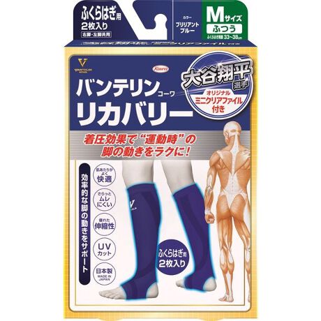 [^ԁF09982222703]ʂŉ^̋r̓NɂI[J[iԁF22227