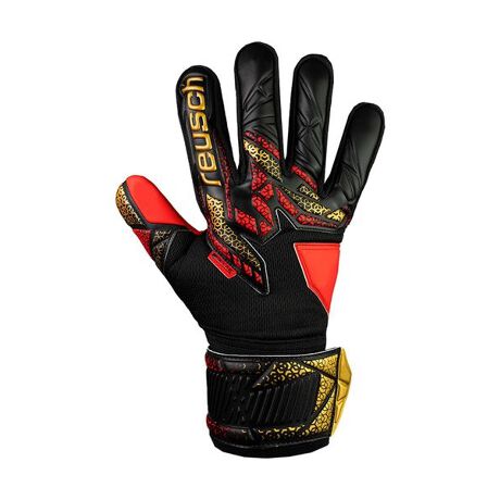 [^ԁF0723556021503]\tgȃebNXgpn[hVbgɑ΂Ռz͋ɓfł[J[iԁF5560215-7075