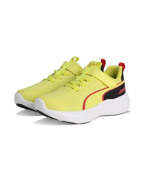 [}C]ptH[}XJWA Xs[h X^[ V5/v[}iPUMAj LEMON SHERBERT|PUMA