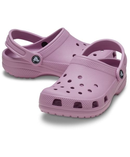 [}C]NbNT_ CLASSIC CLOG K/NbNXicrocsj HYDRANGEA