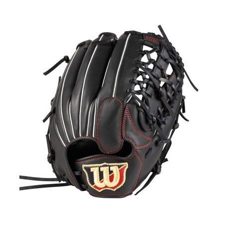 [^ԁF0043WBW10317702]qpɊJꂽ\tg{[pOuBʓIȃOuɑ΂鏗qL̔Y݂@\̗pB\tg{[҂ɂ߂̏qpfB[J[iԁFWBW103177