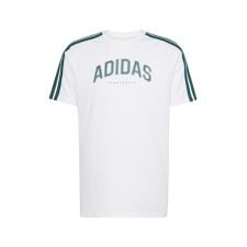 Tシャツ M COLLEG グラフィック Tシャツ