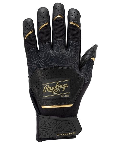 [}C] p Workhorse obeBOO[u - ubN/[OXirawlingsj B