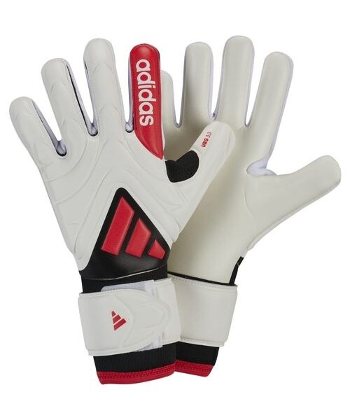 [}C]L[p[O[u LbY COPA [O GKO[u/AfB_Xiadidasj zCg^Vbhbh^ubN