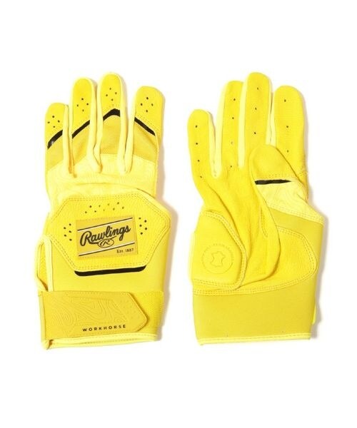 [}C] p Workhorse obeBOO[u - CG[/[OXirawlingsj Y