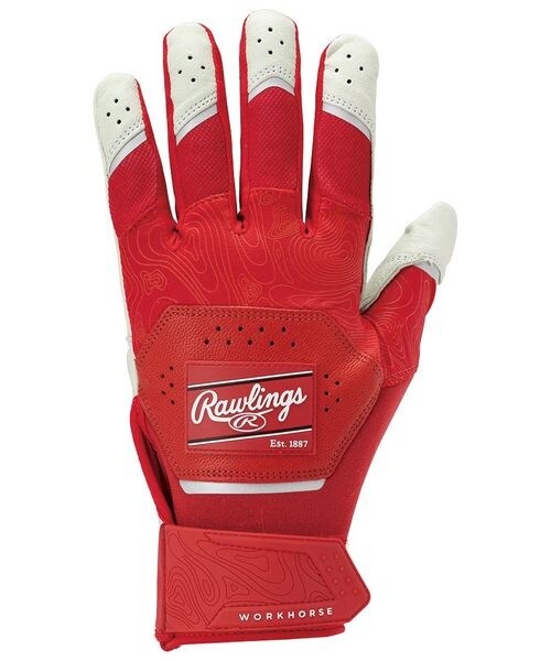 [}C] p Workhorse obeBOO[u - bh/[OXirawlingsj RD