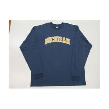 長袖Tシャツ（ロンT） MICHIGAN ロングスリーブTEE