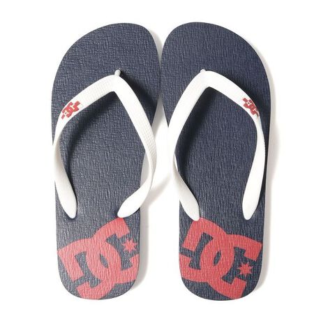 [^ԁF0242DM25109401][J[iԁFDM251094